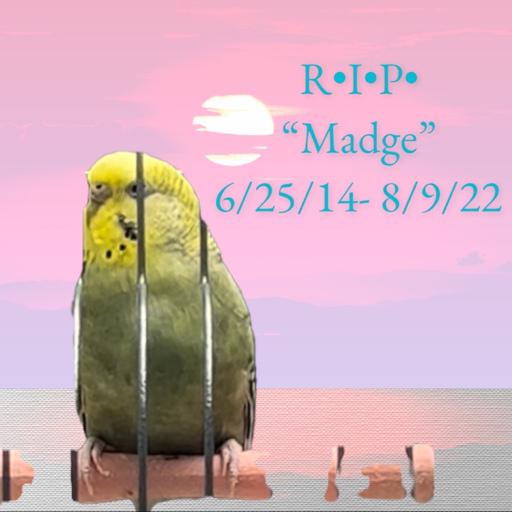 Hi! Thanks for stopping by! Please,Like my other listing to be notified of LIVE! - Picture 10 of 16